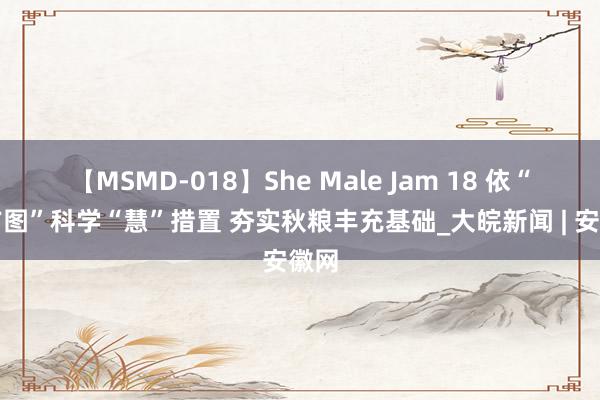 【MSMD-018】She Male Jam 18 依“处方图”科学“慧”措置 夯实秋粮丰充基础_大皖新闻 | 安徽网