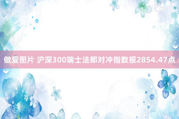 做爱图片 沪深300瑞士法郎对冲指数报2854.47点