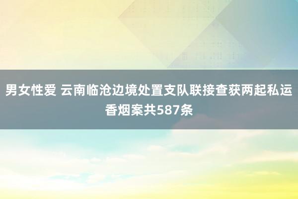 男女性爱 云南临沧边境处置支队联接查获两起私运香烟案共587条