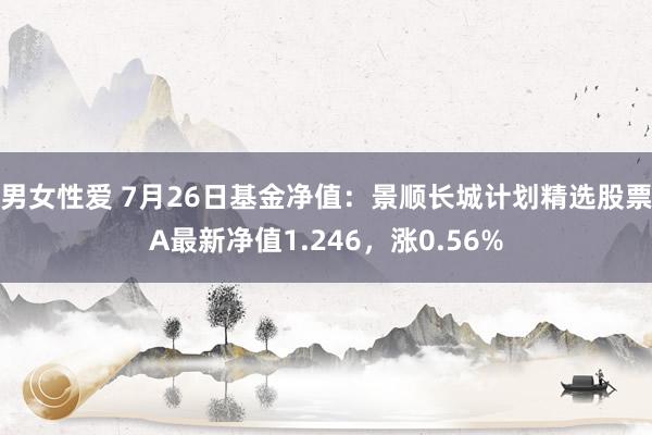 男女性爱 7月26日基金净值：景顺长城计划精选股票A最新净值1.246，涨0.56%