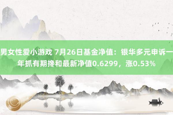 男女性爱小游戏 7月26日基金净值：银华多元申诉一年抓有期搀和最新净值0.6299，涨0.53%