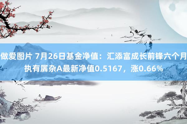 做爱图片 7月26日基金净值：汇添富成长前锋六个月执有羼杂A最新净值0.5167，涨0.66%