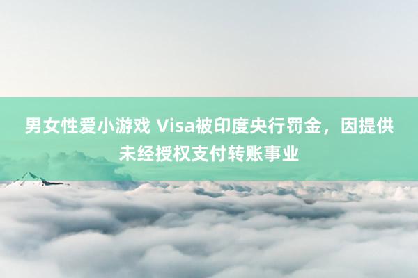 男女性爱小游戏 Visa被印度央行罚金，因提供未经授权支付转账事业