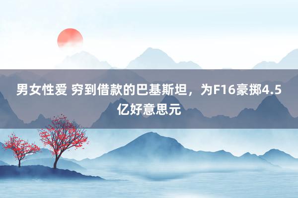 男女性爱 穷到借款的巴基斯坦，为F16豪掷4.5亿好意思元