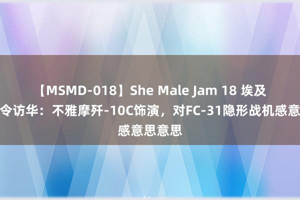 【MSMD-018】She Male Jam 18 埃及空军司令访华：不雅摩歼-10C饰演，对FC-31隐形战机感意思意思