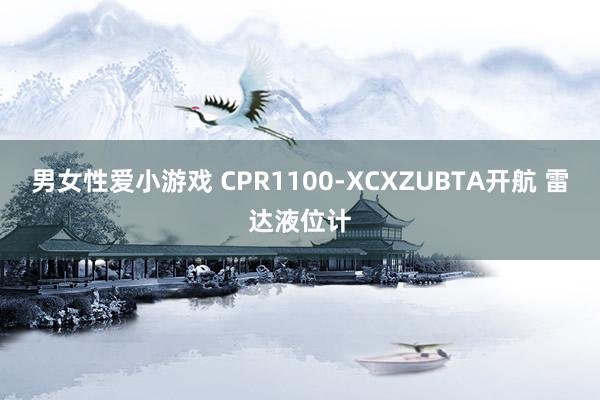 男女性爱小游戏 CPR1100-XCXZUBTA开航 雷达液位计