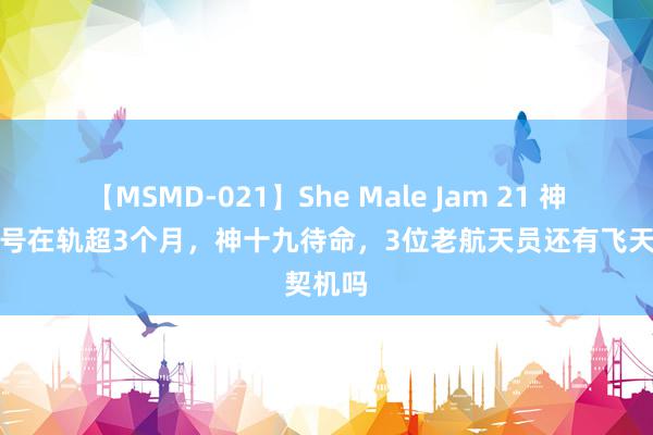 【MSMD-021】She Male Jam 21 神舟十八号在轨超3个月，神十九待命，3位老航天员还有飞天契机吗