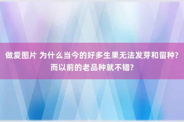 做爱图片 为什么当今的好多生果无法发芽和留种?而以前的老品种就不错?