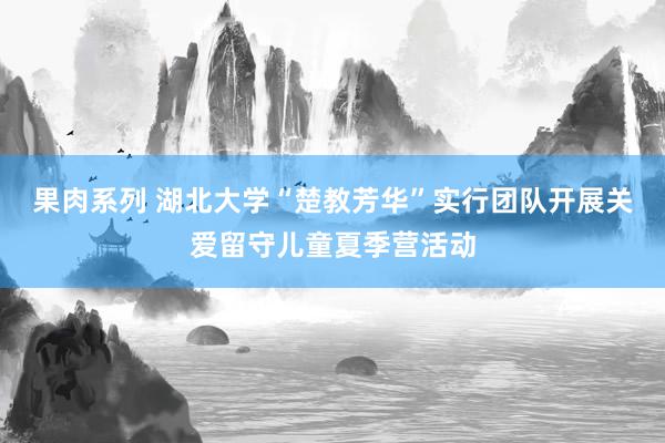 果肉系列 湖北大学“楚教芳华”实行团队开展关爱留守儿童夏季营活动