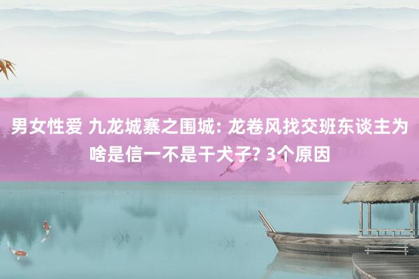 男女性爱 九龙城寨之围城: 龙卷风找交班东谈主为啥是信一不是干犬子? 3个原因