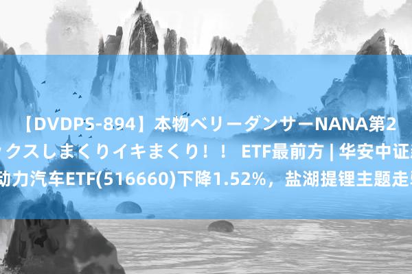 【DVDPS-894】本物ベリーダンサーNANA第2弾 悦楽の腰使いでセックスしまくりイキまくり！！ ETF最前方 | 华安中证新动力汽车ETF(516660)下降1.52%，盐湖提锂主题走弱，贤丰控股上升5.0%