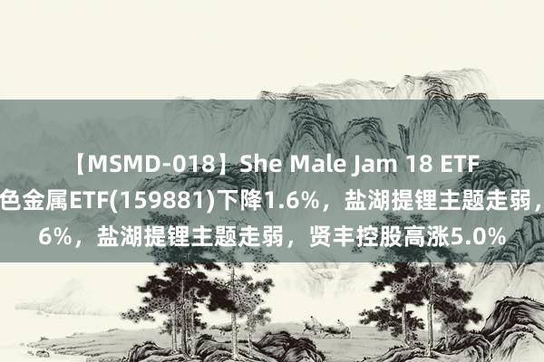 【MSMD-018】She Male Jam 18 ETF最前哨 | 国泰中证有色金属ETF(159881)下降1.6%，盐湖提锂主题走弱，贤丰控股高涨5.0%