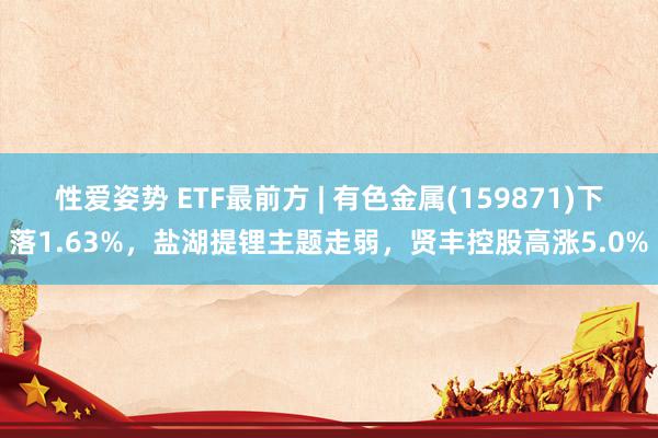 性爱姿势 ETF最前方 | 有色金属(159871)下落1.63%，盐湖提锂主题走弱，贤丰控股高涨5.0%