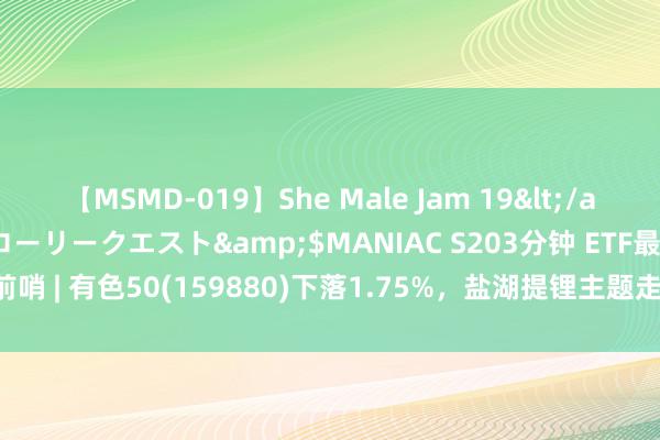 【MSMD-019】She Male Jam 19</a>2008-08-04グローリークエスト&$MANIAC S203分钟 ETF最前哨 | 有色50(159880)下落1.75%，盐湖提锂主题走弱，贤丰控股高涨5.0%