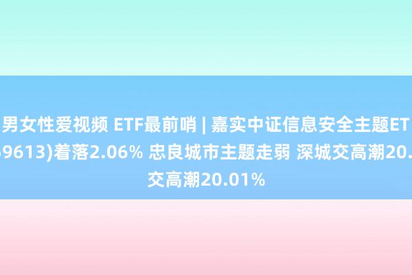 男女性爱视频 ETF最前哨 | 嘉实中证信息安全主题ETF(159613)着落2.06% 忠良城市主题走弱 深城交高潮20.01%