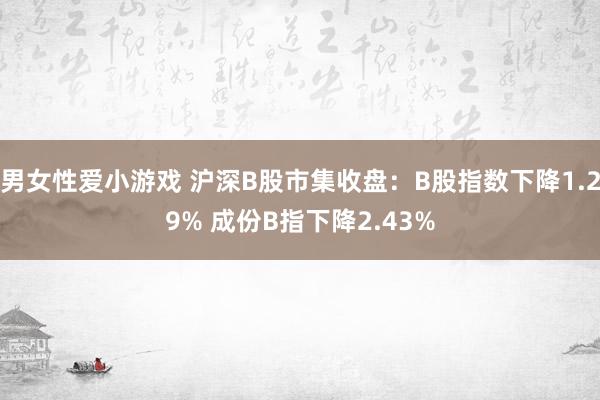 男女性爱小游戏 沪深B股市集收盘：B股指数下降1.29% 成份B指下降2.43%