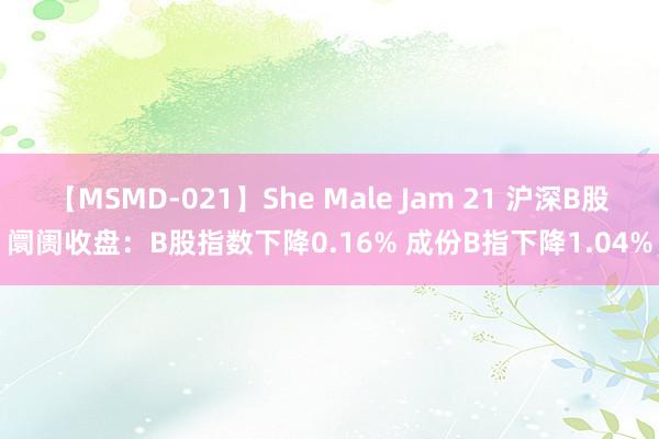 【MSMD-021】She Male Jam 21 沪深B股阛阓收盘：B股指数下降0.16% 成份B指下降1.04%