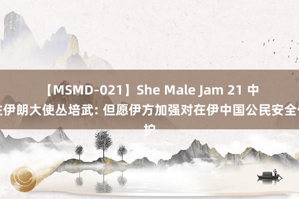 【MSMD-021】She Male Jam 21 中国驻伊朗大使丛培武: 但愿伊方加强对在伊中国公民安全保护