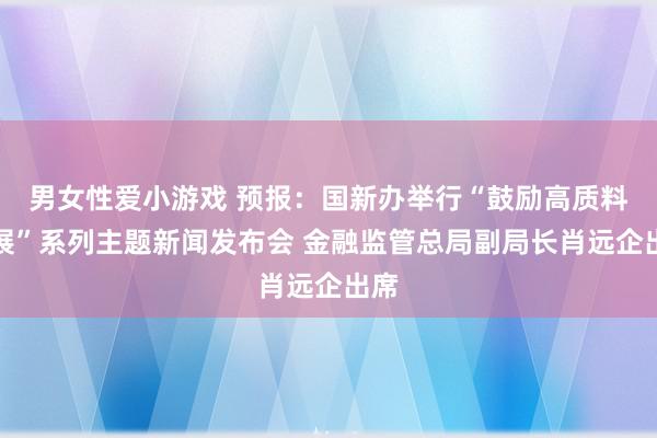 男女性爱小游戏 预报：国新办举行“鼓励高质料发展”系列主题新闻发布会 金融监管总局副局长肖远企出席