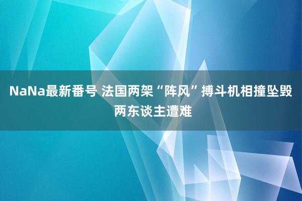 NaNa最新番号 法国两架“阵风”搏斗机相撞坠毁 两东谈主遭难