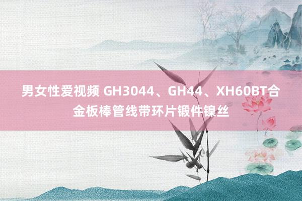 男女性爱视频 GH3044、GH44、XH60BT合金板棒管线带环片锻件镍丝