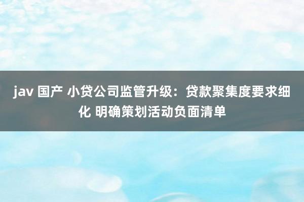 jav 国产 小贷公司监管升级：贷款聚集度要求细化 明确策划活动负面清单