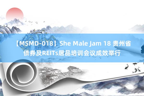 【MSMD-018】She Male Jam 18 贵州省债券及REITs居品培训会议成效举行