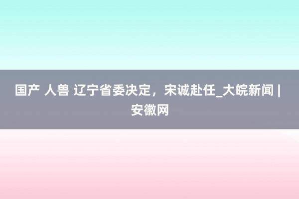 国产 人兽 辽宁省委决定，宋诚赴任_大皖新闻 | 安徽网