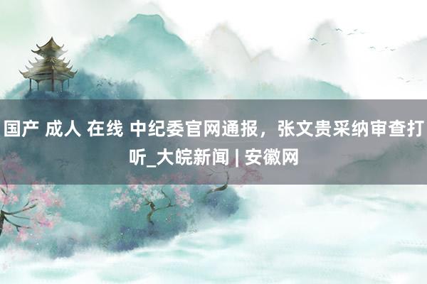 国产 成人 在线 中纪委官网通报，张文贵采纳审查打听_大皖新闻 | 安徽网